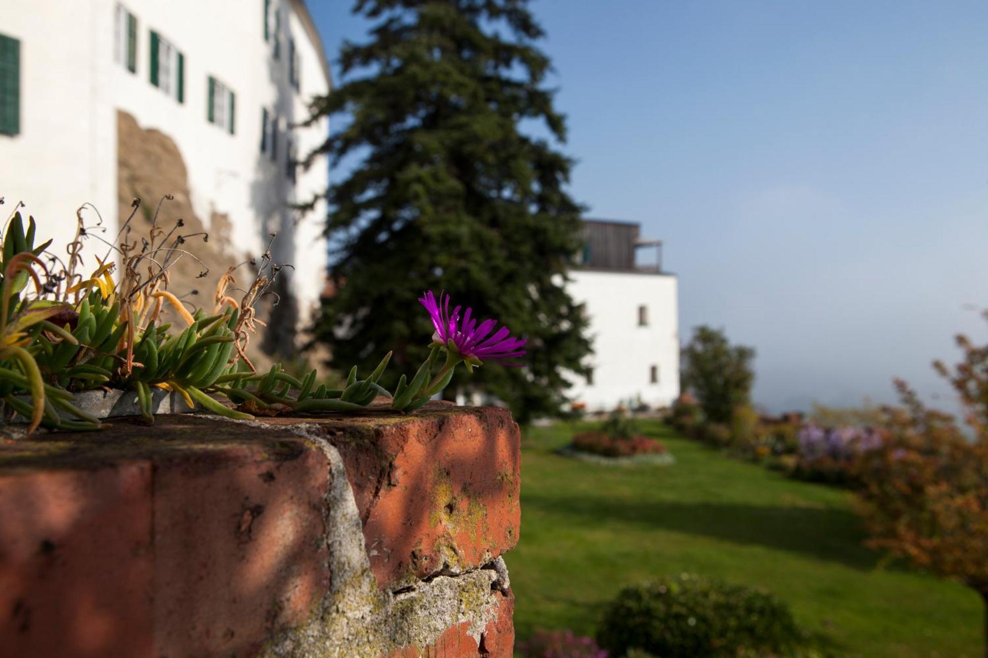 Schloss Kapfenstein Exterior photo